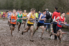 Boys under-15s 2018 British Inter Counties Cross Country Champs., Prestwold Hall, Loughborough. Photo: David T. Hewitson/Sports for All Pics